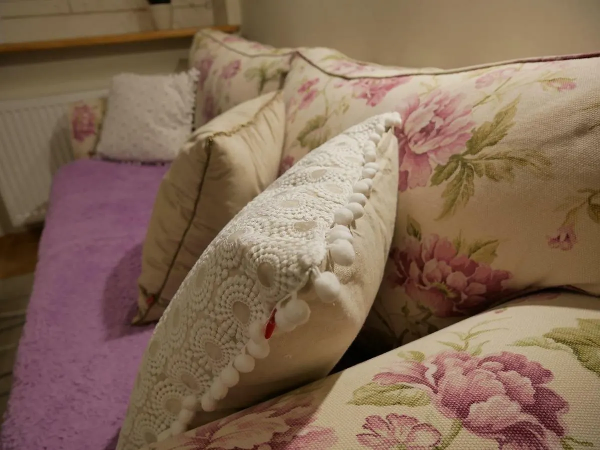 Bonusaparts Debowa Grobla Apartment Gdansk